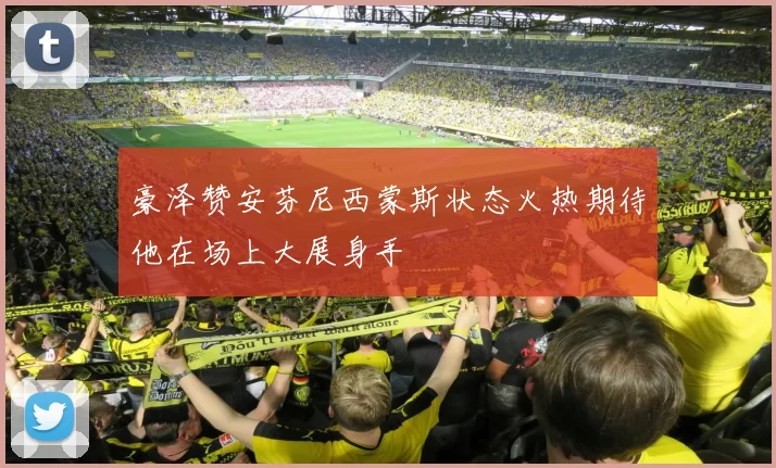 豪泽赞安芬尼西蒙斯状态火热期待他在场上大展身手